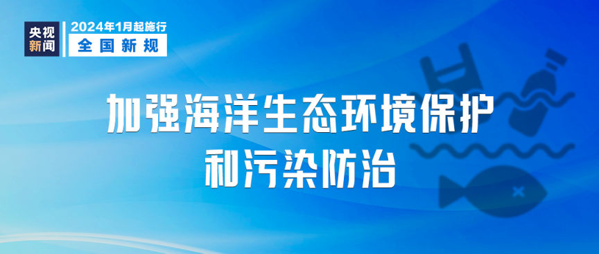 新澳天天开奖免费资料查询_效率资料理解落实_bbs13.31.24.2