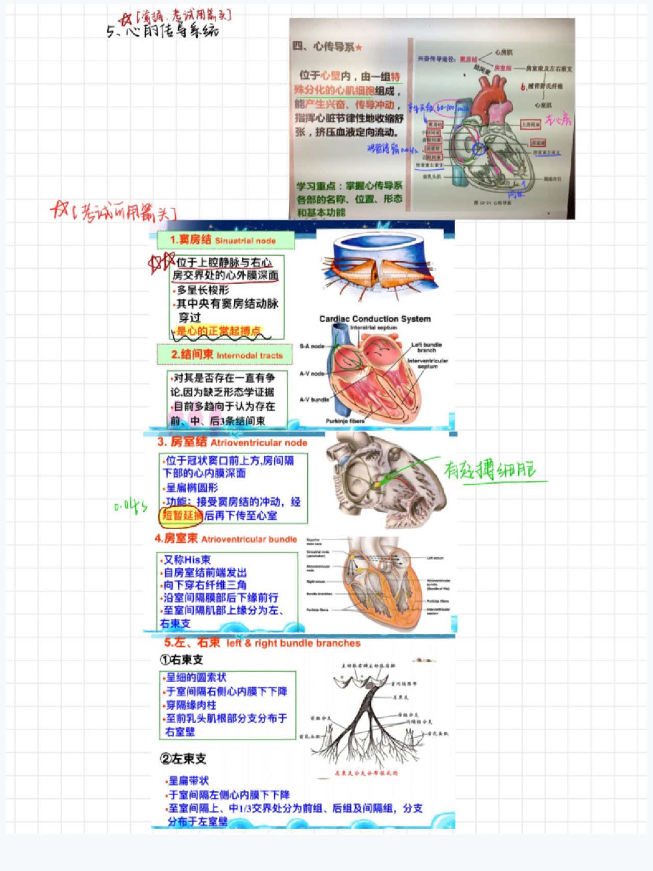 新奥精准资料免费提供_效率资料解剖落实_尊贵版49.124.142.122