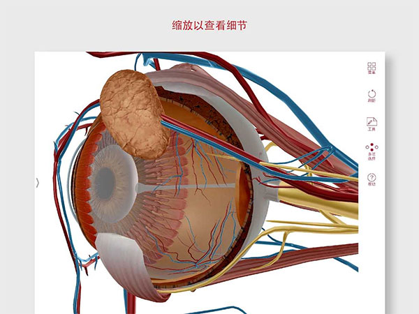 0149004.cσm查询澳彩资料_最佳精选解剖落实_尊贵版205.188.200.218