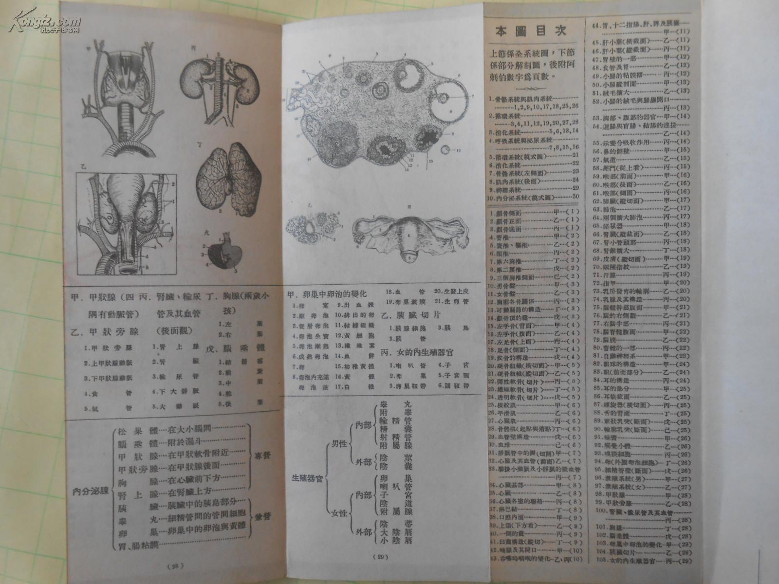 澳门一码_时代资料解剖落实_尊贵版164.235.28.249