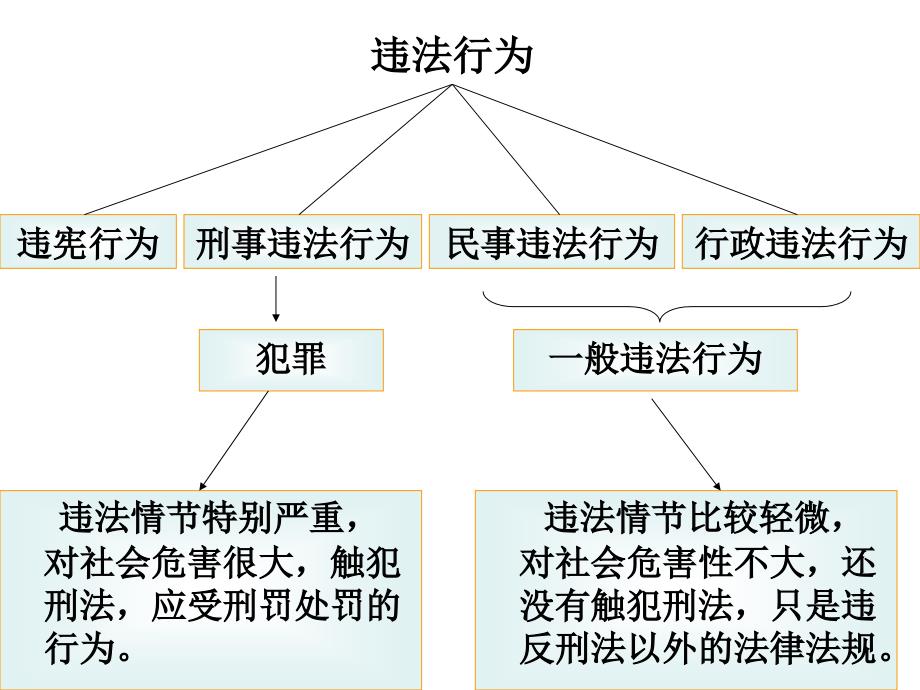 2024新澳门天天开好彩最新版亮点展示_效率资料动态解析_vip218.62.53.245