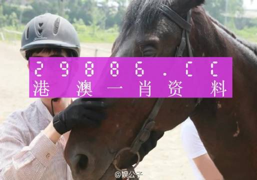 2o24年澳门一肖一马期期准_时代资料动态解析_vip28.227.101.9