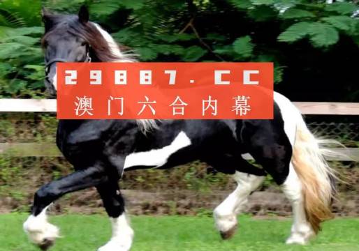 澳门今晚必开一肖一特,系统解答解释落实_Executive94.447