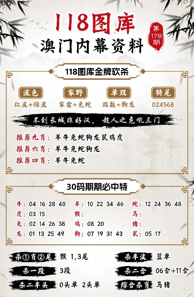 新澳门王中王100%期期中,深度研究解释定义_手游版50.769