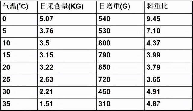 第856页