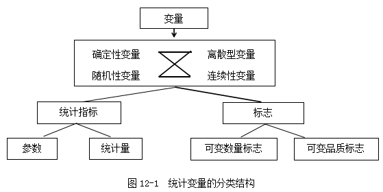 澳门最精准正最精准龙门,统计分析解释定义_钻石版26.294